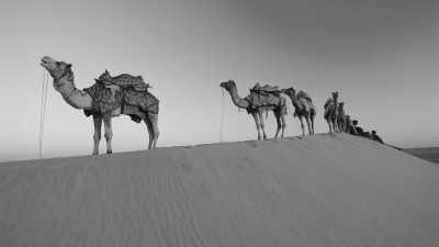 Algerien - Tamanrasset - Discover The Great Sahara! - 5