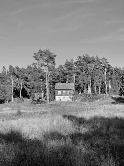 Norwegen - Stavanger - Central Norway Summer Adventure: Scenic Drives and Breathtaking Hikes - 1