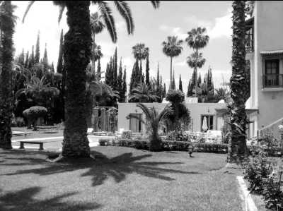 Morocco - Marrakesh - Unleash the Rhythm at Sabotage Festival with Boris Brejcha 😱 : Your Journey to Marrakech, Morocco! - 4