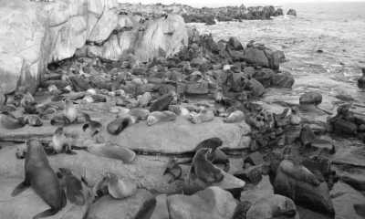 Uruguay - Isla de Lobos - Coworking Retreat in a Breathtaking Villa in the heart of Uruguay