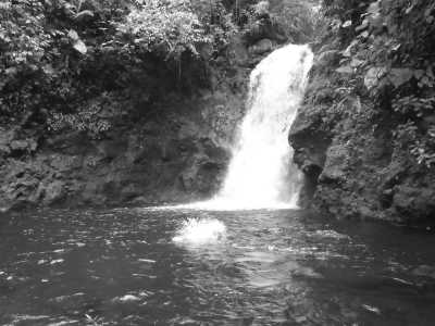 Costa Rica - Guapiles - Caribbean Coast Exploration in Costa Rica with a Local Guide: Discover the Hidden Gems! - 2
