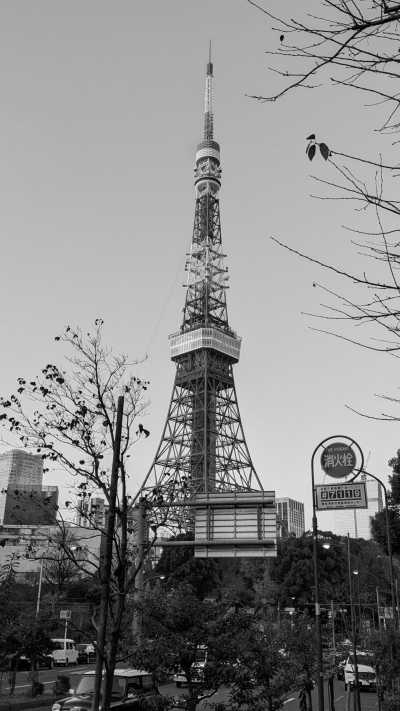 Japan - Tokyo Tower - Tokyo Adventure! Anime & gaming fandom pilgrim! - 1
