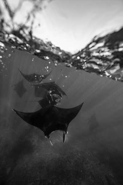 Indonesia - Nusa Lembongan - Bali & Lombok Beach and Sealife : Surf, Snorkel & Yoga - 3