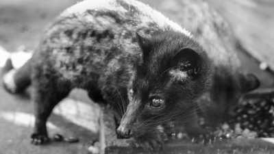 Indonesien - Sebatu - *Returning TripMate Only* -  Magic Sunsets, Hidden Waterfalls and Sacred Temples - A (luxurious) journey to Bali's cultural heritage and natural wonders (INDONESIA TRIP - PART II) - 3