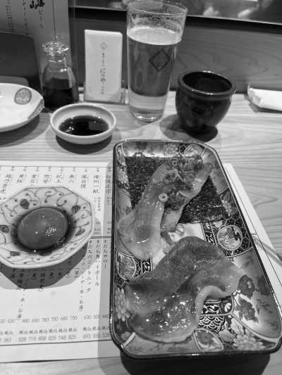 Japan - Niseko - Niseko Powder Ski & Tokyo - 20