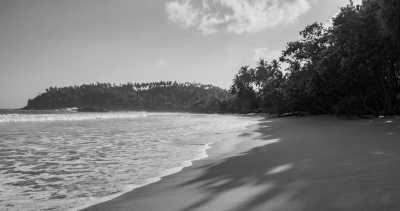 Sri Lanka - Mirissa - Explore the Hidden Gems of Sri Lanka: 11 Nights of Adventure on a Budget - 1