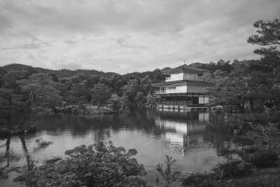 Japan - Kinkaku-ji - Blossoms & Cities: Japan’s Spring Adventure 2025