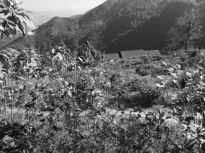 Nepal - Sundarijal - Discover Nepal's Rich Culture: Traditional Architecture, Local Cuisine, and Alcohol Tasting Experience - 1