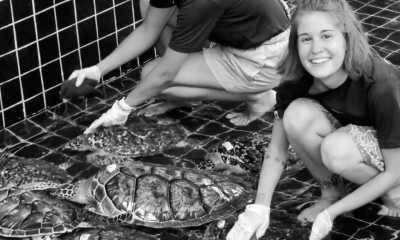 Thailand - Khao Lampi–Hat Thai Mueang National Park - Turtles and Marine Conservation Volunteering Trip with the National Park in Thailand. - 3