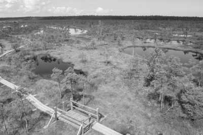 Lettland - Ķemeri National Park - Explore Riga, Latvia and nature around!