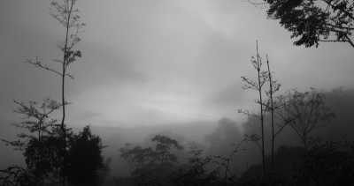 Costa Rica - La Gamba centro - Coworking or Volunteering from/in Costa Rica - 5