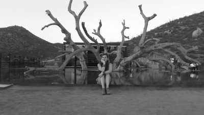 Mexico - Santo Tomás - Mexican Wine, Dine, and Fun: A Local Journey to Indulge in the Flavors of Mexico - 3