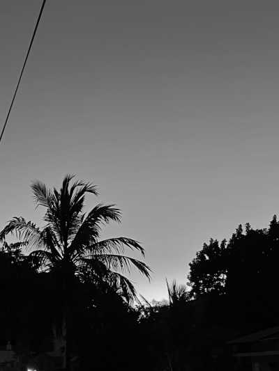 Tanzania - Stone Town - Zanzibar Coworking Experience: Your Journey Starts Here - 10