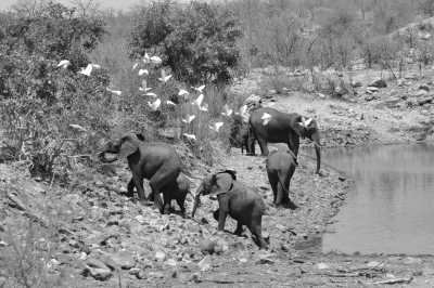 South Africa - Blyde River Dam Visitor Center - Südafrika: Wilde Tiere, der Krüger Nationalpark, Blyde River Canyon und Johannesburg - 3