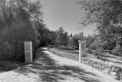 Portugal - Loulé - Workation in the Beautiful Algarve: Sea Views, Rustic Nature (Room Sharing) - 4