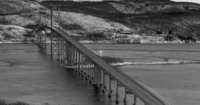 Norwegen - Narvik - New Year's Eve in Norway - Northern Lights, snow and dog sledding!