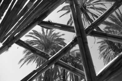 Marokko - Paradise Valley Agadir - Women's (Beginner) SURF RETREAT in Sunny Morocco - 1