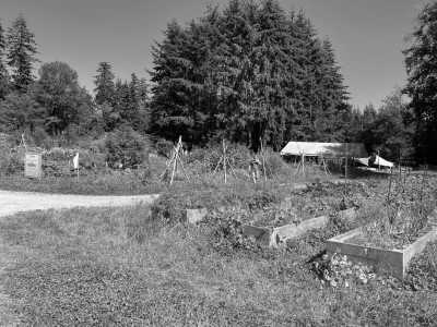 Canada - UBC Farm - Indigenous Learning in Western Canada - 5