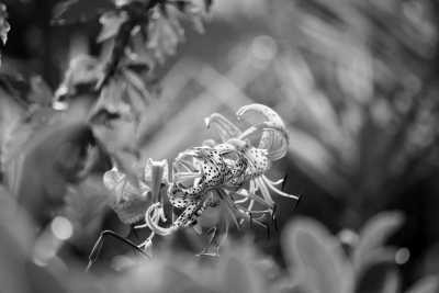 Italy - Parco Naturale Regionale Terra delle Gravine - City Trip to A unique town in Italy, Alberobello with Culture, Culinary & Stunning Sites - 2