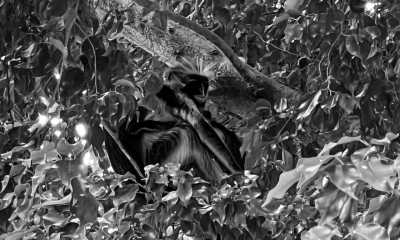 Tanzania - Paje - 10-day trip around Zanzibar island, Tanzania 🌴 - 7