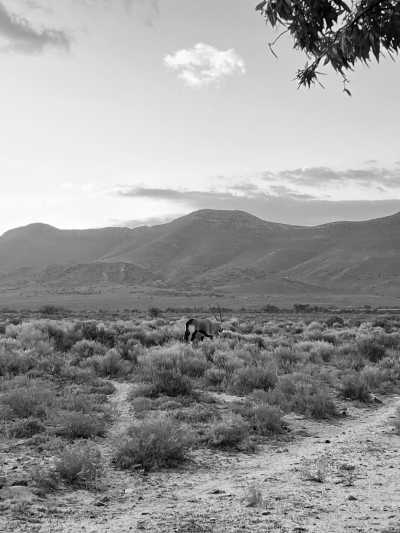 South Africa - Swartberg Backpackers - South Africa Road Trip with a Local: Untouched beaches, Mountains, Wilderness, Campfires & Adventure. Epic Road Trip through an epic Country - 2
