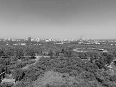 Mexiko - Mexico City - Discover Mexico with a local... Chapter: Tepoztlan,Sayulita, Tequila-train and more Mexican Marvels Expedition! - 3