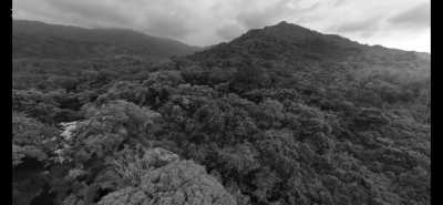 Colombia - Minca - Caribbean Delights: Unveiling Minca's Majestic Mountains and Buritaca's Breathtaking Beaches in Colombia - 2