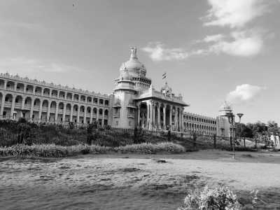 India - Bengaluru - Wonders of the Jungles in South India - Wildlife Safari