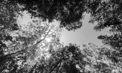 Tanzania - Kiwengwa - 10-day trip around Zanzibar island, Tanzania 🌴 - 4