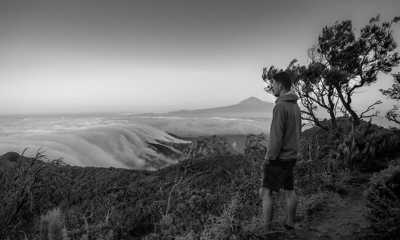 Spanien - Garajonay National Park - Getting around in Tenerife: Let's go trek 🥾🌋🚠