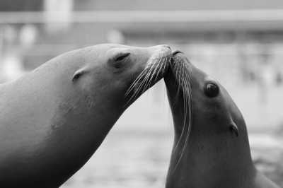 Norway - Bergen - Magic Norway - a beauty of Norwegian nature and culture. - 3