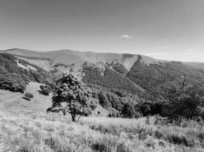 Slowakei - Staré Hory - Wilderness and Tranquility: Hiking Adventure in Great Fatra National Park in Slovakia - 5