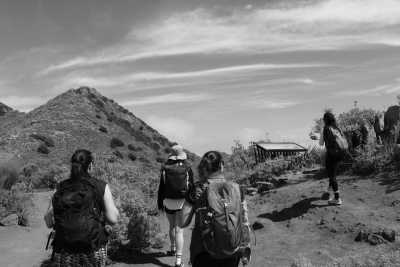 Spanien - Masca - One week Island Life 🌴 Eco Whale Watching, volcanic terrain, pass by banana plantations 🍌, crystal clear water and beautiful nature walks! - 4