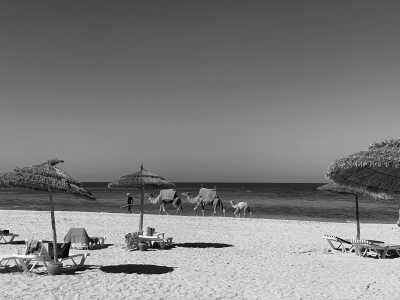 Tunisia - Gammarth - Female Only Tunisia Trip: A Colorful Adventure to Explore! 🌴🌊✨ - 2