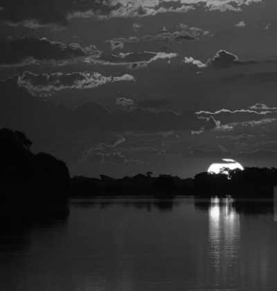 Subsahara-Afrika - Maun - African Safaris and New Year Vibes 🎉🎇 from Livingstone to Cape town - 1