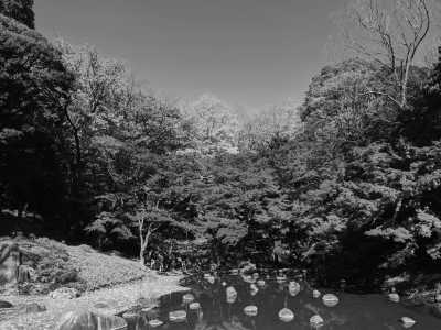 Japan - Tokyo - Autumn in Japan: Kimono Strolls, Mt. Fuji Majesty, Matcha Grinding, Making Food Samples, and Thrift Store Exploration - 3