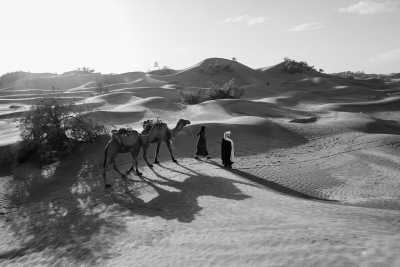 Morocco - 🐫 Explore the Sahara Desert, Morocco in 3 Days Trip - JoinMyTrip