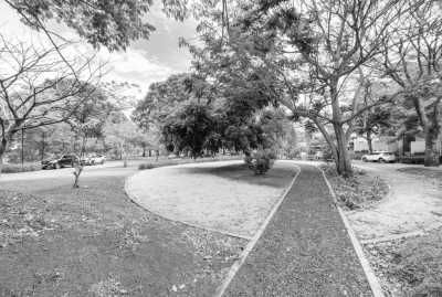 Costa Rica - Condominio Altos de Palermo - Let’s  explore the wonders of traditional Costa Rican culture - By the hand of a Local - 2