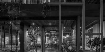 Thailand - Bangkok - All Inclusive - The ultimate Thailand Experience: All-inclusive trip to Bangkok, Koh Tao, Khao Sok, Ao Nang,  and Phi Phi Islands. - 2