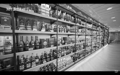 Nordeuropa - Hirtshals - 🌊 Skandinavische Wellen: Dänemark, Faröer & Island 🇩🇰🇫🇴🇮🇸 - 10