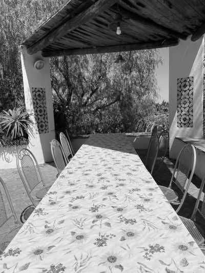 Italien - Ischia - CoWorking in NAPLES with a True NAPOLITAN 🇮🇹 🍕 - Discovering Napoli and Its Islands! - 2