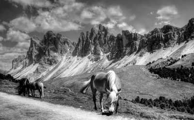 Europe - Sauris - Summer in Northern Italy: Hiking, Horse Riding and Exploring Nature🏞️🏇
