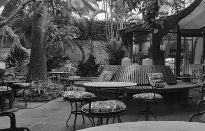 India - Puducherry - The hidden gems of South India: Mahabalipuram, Pondicherry and Auroville. A prefect blend of culture, heritage, beaches and human unity! (Shared Room Price) - 12