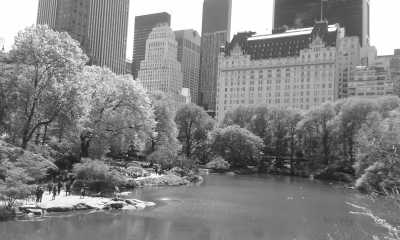 United States - New York - 4th of July in USA Experience: New York, Philadelphia and Washington DC Parade - 7