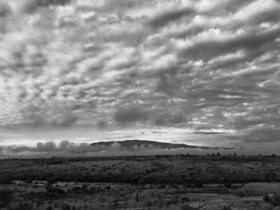 Kenya - Masai Mara National Reserve - Exploring an Epic Safari Nature Reserve: Maasai Mara National Reserve, Kenya - 3