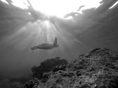 United States - Maui - Women-only🌺 Hawaii Island Hopping Dreams🏝️. Tropical Road Trip Adventure 🥰! (USA "Winter/Spring Break" Girls Trip! 2025) - 1