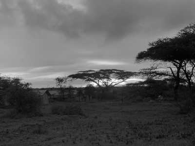 Tanzania - Mkomazi-Nationalpark - Tanzania Safari Trip - Rhinos, Lions & Elephants are waiting! - 1