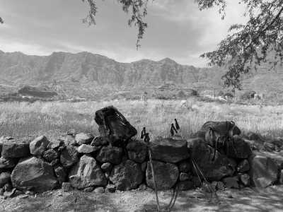 Welt - Cha de Morte - Inselüberquerung Santo Antao (Kapverden) - 5