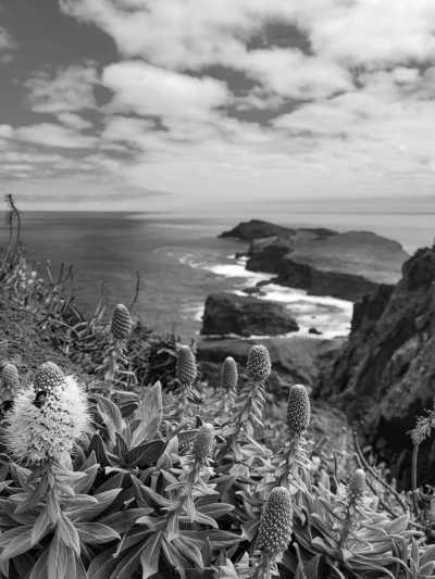 Portugal - Ponta de São Lourenço Experience - Madeira Island Adventure Extravaganza: 7 Days of Thrills & Chills! (Dates flexible!) - 7