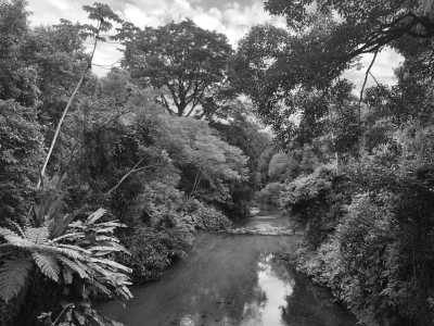 Brazil - Una Beach - Travel Like a Local to North Shore of São Paulo - 1